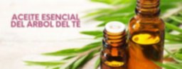 Aceite Puro Esencial del Arbol de Té (Tea Tree Oil)